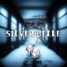 Load image into Gallery viewer, SILVER BELLE Custom Colored Lace Front Wig (Large Cap, Grey w/Platinum Blonde Hi Lights, 40 inch length) READY TO SHIP