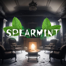 Load image into Gallery viewer, SPEARMINT Custom Colored Lace Front Wig (Large Cap, Green w/White Hi Lights & Tinsel, 26 inch length) READY TO SHIP