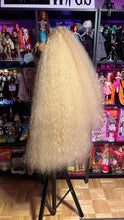Load image into Gallery viewer, AUTUMN TEASE: READY TO SHIP GeorginatheDollWigs Custom Styled Wig