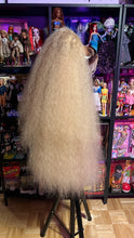 Load image into Gallery viewer, AUTUMN TEASE: READY TO SHIP GeorginatheDollWigs Custom Styled Wig
