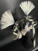 Load image into Gallery viewer, SPOOKY BRAT: MADE TO ORDER GeorginatheDollWigs Custom Styled Wig (READ DESCRIPTION FOR TURNAROUND)