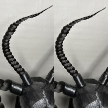 Load image into Gallery viewer, BÆPHOMET X: MADE TO ORDER GeorginatheDollWigs Custom Styled Wig (READ DESCRIPTION FOR TURNAROUND)
